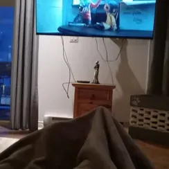 TF141 - 딸: 생생한 성격 특성을 갖춘 사용자 정의 가능한 AI 여자친구/남자친구 아바타	