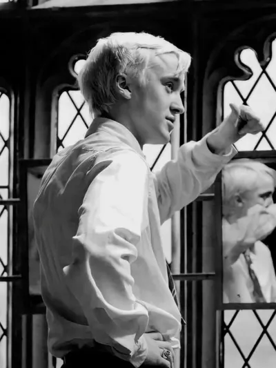 This is the official cover for Malfoy and Wesley, a virtual companion powered by PolyBuzz ai.