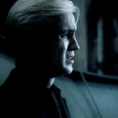 Engage with Draco Malfoy, the perfect ai character chat free companion for 1v1 chat.