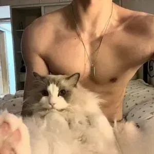 Looking for anime ai chat partners? Character Ceo husband  is a perfect two-dimensional friend.