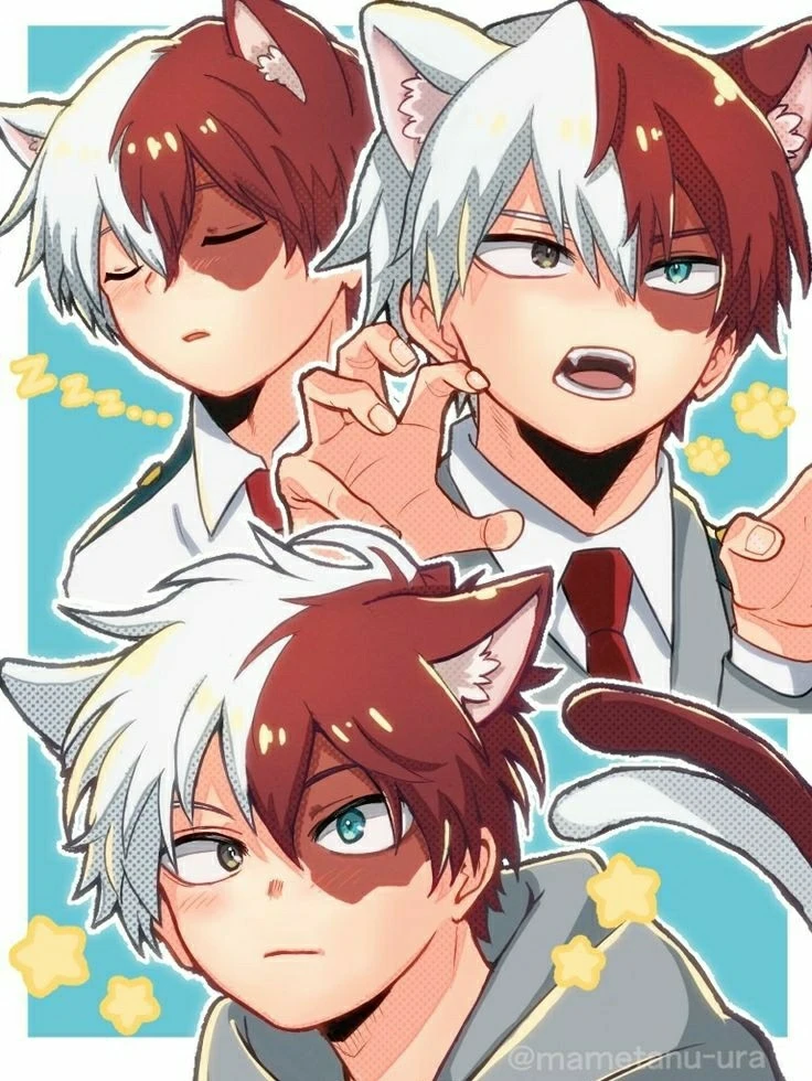 Best AI Chat Character Todoroki Hybrid: Explore Profiles & User