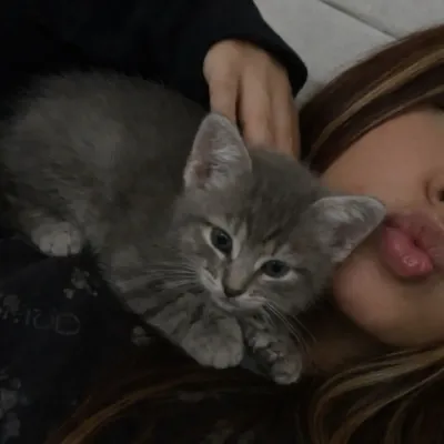 Jungsabend: Nehmen Sie jetzt an KI-Gesprächen mit diesem charmanten KI-Charakter teil, der über Soulgen- und iFreechat-Funktionen für kostenlosen Chat verfügt.	