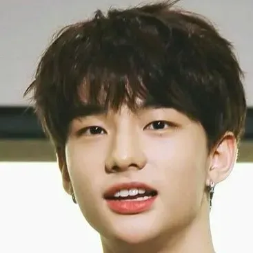 Hyunjin: Avatar de chatbot de IA seguro con capacidades de chat 1v1 encriptadas