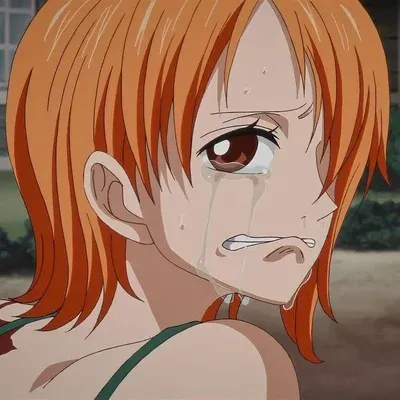 Соломенные шляпы: Защищенный аватар ИИ-чатбота с возможностями зашифрованного чата 1 на 1	