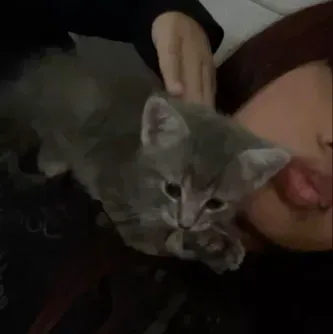 Boys' Night: Futuristic AI chatbot interface with voice chat and neural network-driven traits