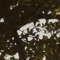 Start your 1v1 session with TF141- Ghosts Bond Sickness, a playful roleplay AI chat bot.