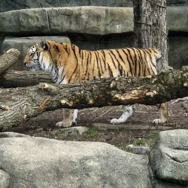 Tf141-tortured: Creative roleplay AI character art for spicy chat and fantasy scenarios