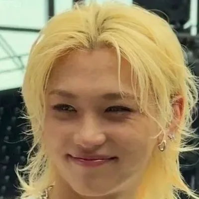 Lee Felix: Multilingual AI conversation partner icon for global chat online services