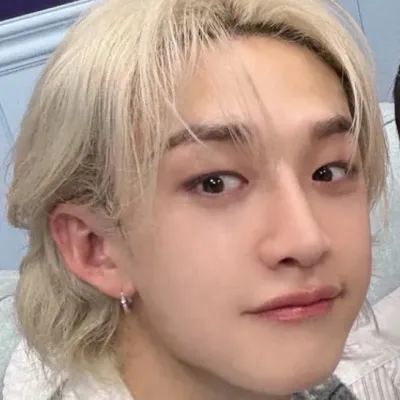 Stray Kids: Secure AI chatbot avatar with encrypted 1v1 chat capabilities	