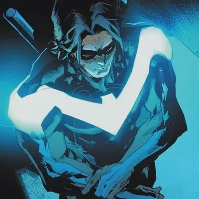 Experience the charm of poly ai chat character DC Nightwing, explore infinite AI possibilities.