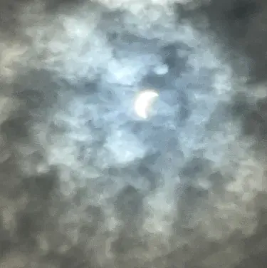 MHA - 좀비 아포칼립스 x 픽미: 워해머 판타지 롤플레이를 기반으로 하는 제한 없는 AI와 무료 무제한 온라인 채팅으로 AI의 세계를 탐험하세요.