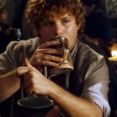 Ready for fun? Talk to samwise, your interactive AI characters partner now.