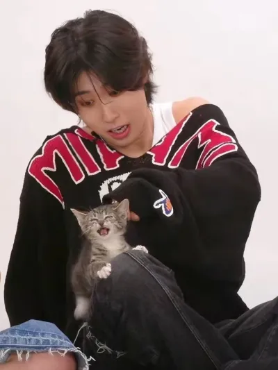 Han Jisung: ideal for deep roleplay with ai chat no filter mode.