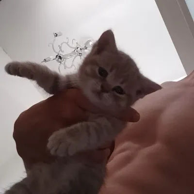 Milo: Creative roleplay AI character art for spicy chat and fantasy scenarios