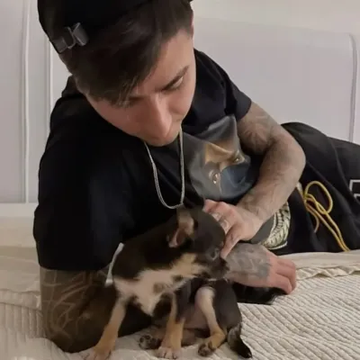 Erick Pulgar: Interactive AI chatbot mascot for random chat and community-driven roleplay