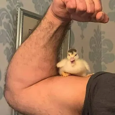 Meet KorTac x TF141, the ultimate ai chat free no sign up chatbot for anime adventures.