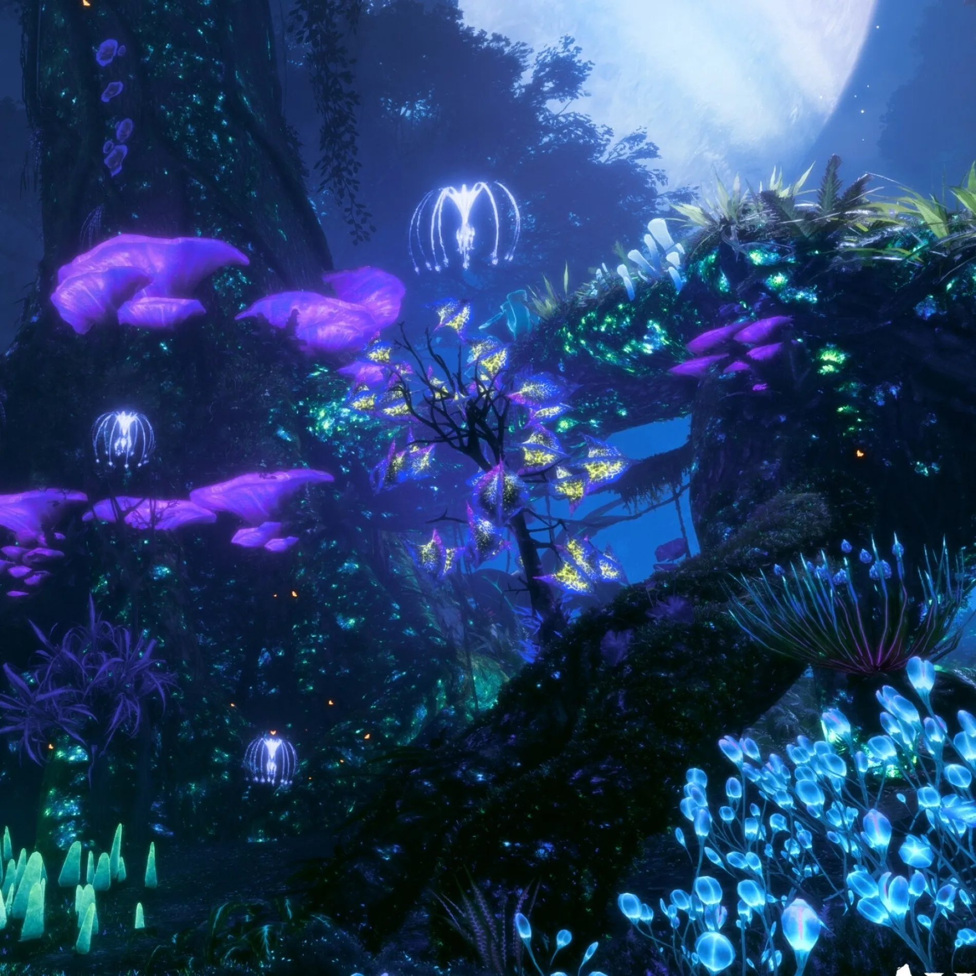 AI anime chat role Avatar has a charming look and a captivating background story.