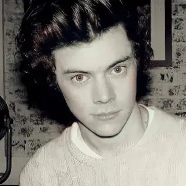 Harry Styles - 2013: DeepBrain AI companion portrait for free online chat and open conversations
