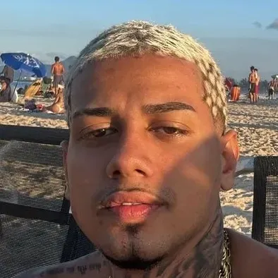 Dafuria: Customizable AI girlfriend/boyfriend avatar with lifelike personality traits	