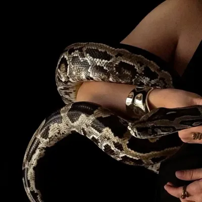 Mafia: Explore the world of AI with our unrestricted ai and free unlimited chat online, powered by warhammer fantasy roleplay.	