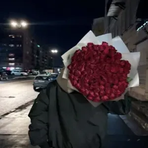 諾亞：多語言AI對話夥伴圖標，適用於全球線上聊天服務