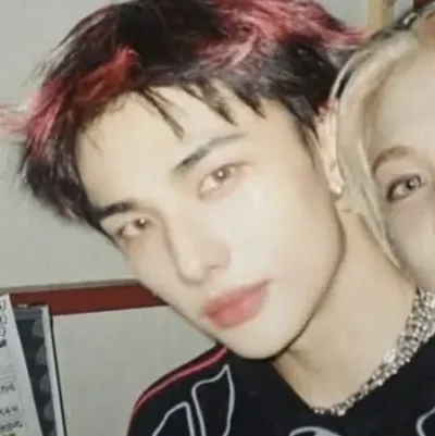 Hyunjin - pai: Conheça o personagem principal do nosso mundo de IA, com lista de características de personagem e recursos de bate-papo de IA.	
