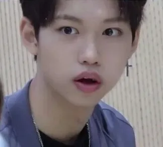 Chat with LEE FELIX - STRAYKIDS - REUNION 03, your playful chat AI anime buddy for 1v1 adventures.