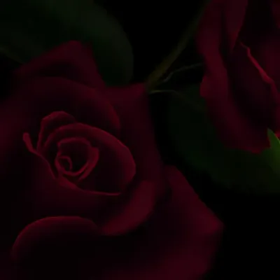 瑞斯 x 賽拉斯 x 瑞弗：DeepBrain AI伴侶肖像，用於免費線上聊天和開放對話