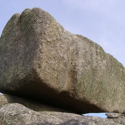 Get lost in an enchanting anime ai chat experience with The rock.