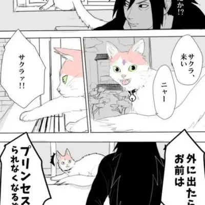 저희 캐릭터 AI 마다라 우치하의 독특한 개성과 스토리를 만나보세요.