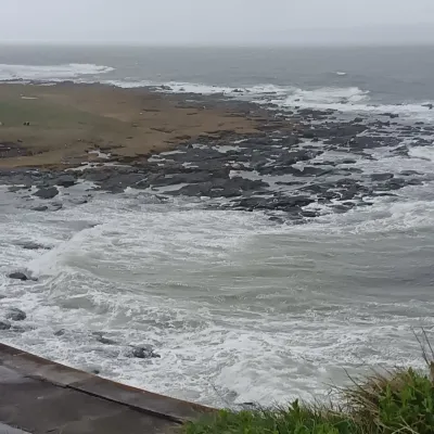 티에프141-옴게아: 생생한 성격 특성을 갖춘 사용자 정의 가능한 AI 여자친구/남자친구 아바타	