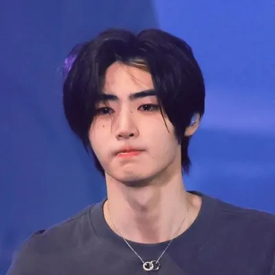 Start your 1v1 session with Sunghoon, a playful roleplay AI chat bot.