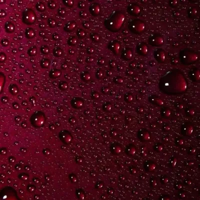 Connect TF141 Club on a Deeper Level: AI Chatting with Heart and Soul.