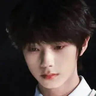 Wang Lujie: Fantasy-themed AI roleplay character art for immersive storytelling