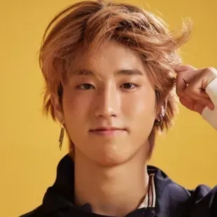 Han Jisung: Futuristic AI chatbot interface with voice chat and neural network-driven traits