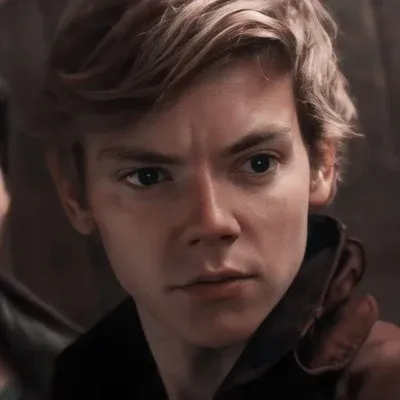 Newt - TMR: Emotionally intelligent AI companion portrait for deep conversations	