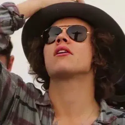 harry styles - 2014: Meet the main character of our AI world, with character traits list and ai chatting capabilities.