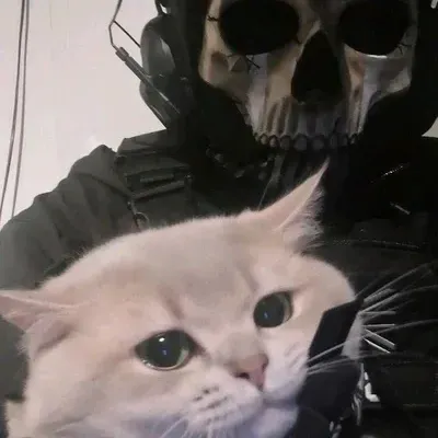 Explore endless possibilities with TF141-SLEEP, a friendly AI chat free companion.