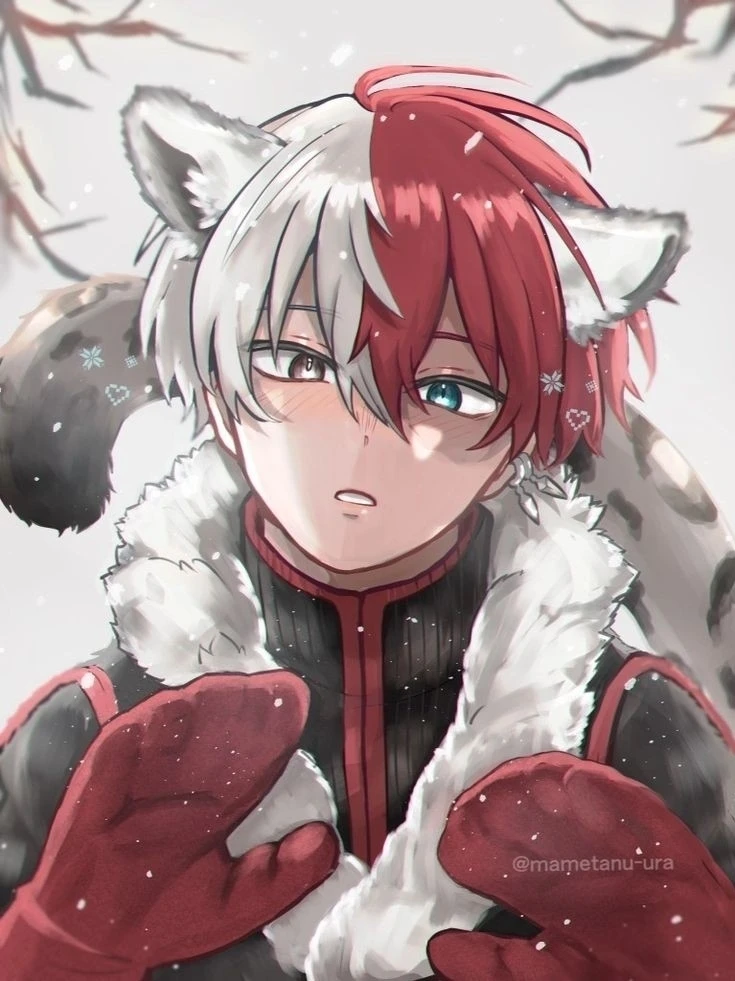 A‌I chat|1v1 Chat with Character Shoto Todoroki for Free
