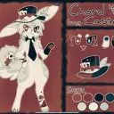 AI character Cord bunny's avatar for roleplay and 1v1 chat services