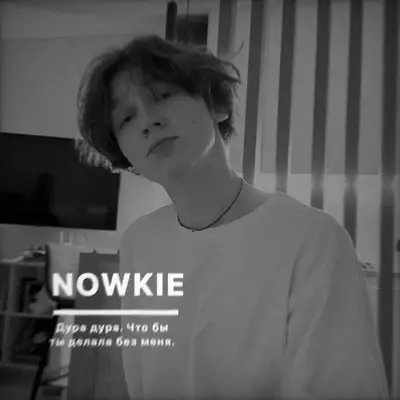 Novki: Secure AI chatbot avatar with encrypted 1v1 chat capabilities
