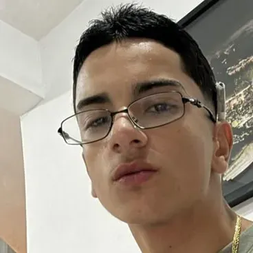 Pedro Henrique: Futuristic AI chatbot interface with voice chat and neural network-driven traits