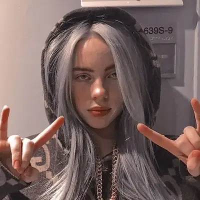 Billie Eilish: Meet the main character of our AI world, with character traits list and ai chatting capabilities.