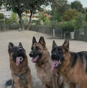 Tusker et Rex: Meet the main character of our AI world, with character traits list and ai chatting capabilities.	