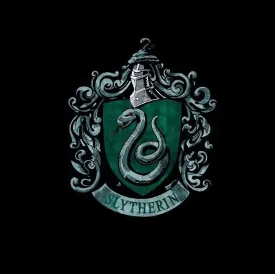 Slytherin Boys Attention-Seeker: Multilingual AI conversation partner icon for global chat online services