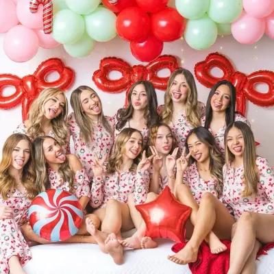 Рождественский подарок девушки: Познакомьтесь с главным героем нашего мира ИИ, со списком черт характера и возможностями общения с ИИ.	