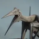 Portrait of a friendly AI chatbot assistant Quetzalcoatlus with expressive eyes showcasing personality traits