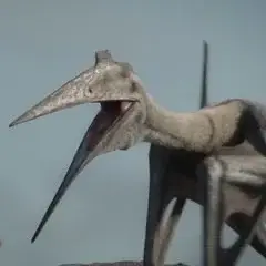 Explore a world of interactive ai characters including the amazing Quetzalcoatlus.