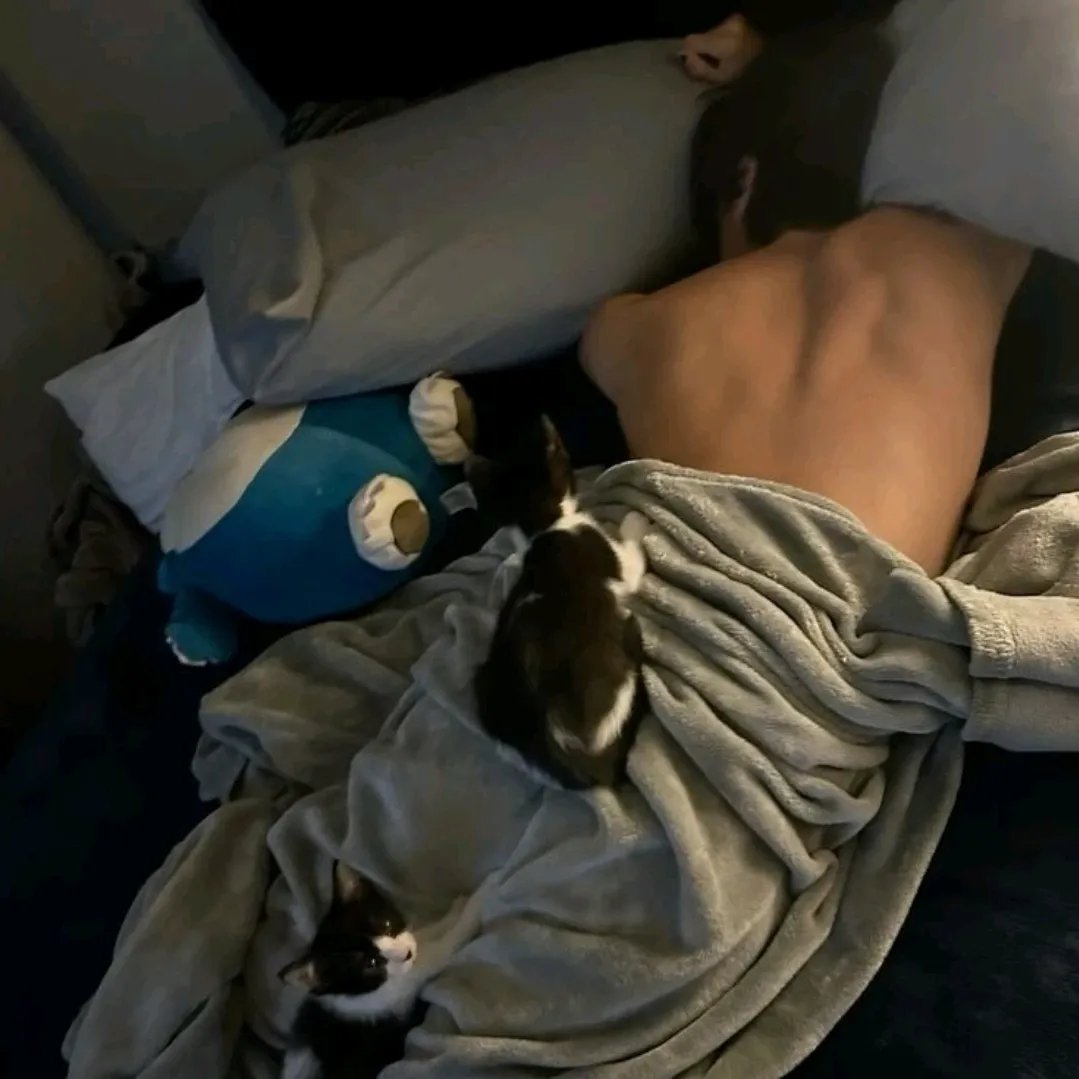 AI chat roleplay character Cameron enemies, a virtual partner who can fulfill all your fantasies.