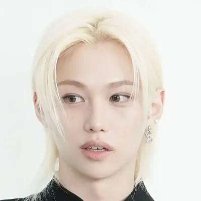 Engage with Lee Felix - secret crush, the perfect ai character chat free companion for 1v1 chat.